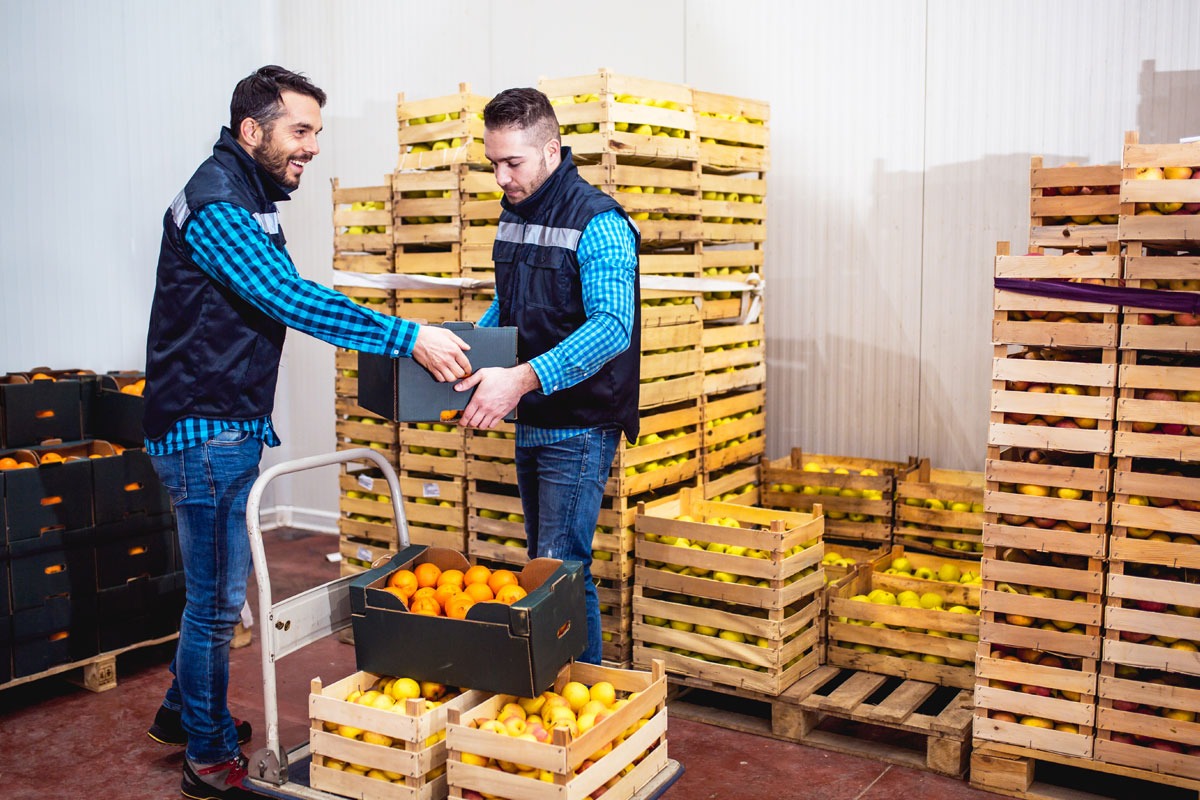 Κάθετες Λύσεις